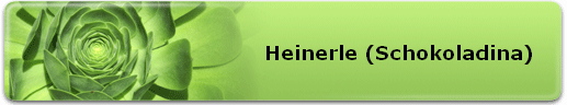 Heinerle (Schokoladina)