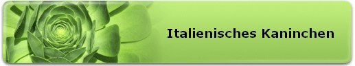 Italienisches Kaninchen