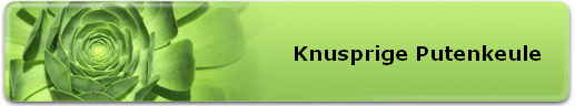 Knusprige Putenkeule