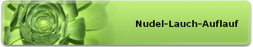 Nudel-Lauch-Auflauf